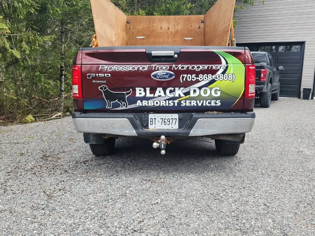 Black Dog Arborist Services pickup wrap