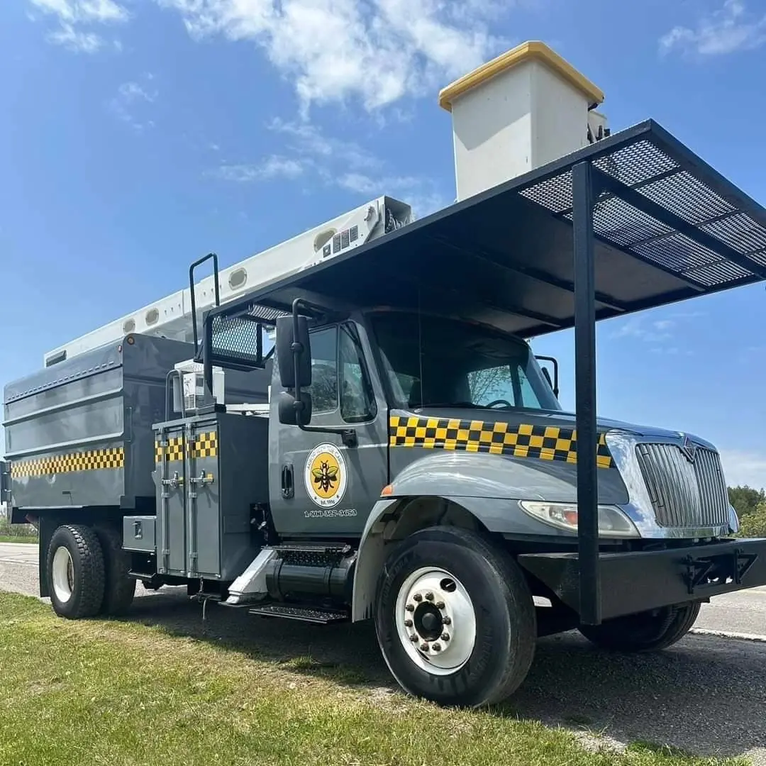 Arborist chip truck with checkered lettering
