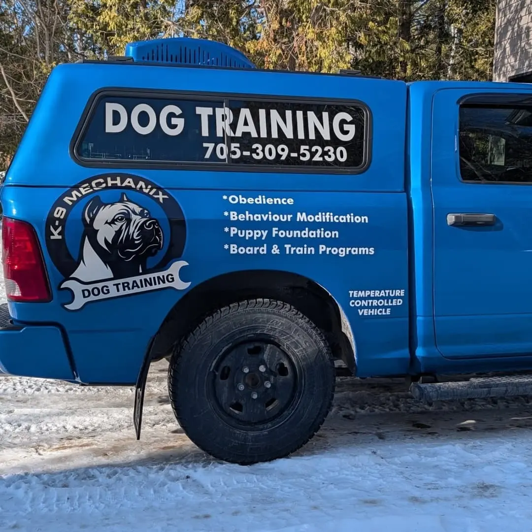 Blue pickup lettered for K9 Mechanix Dog Training